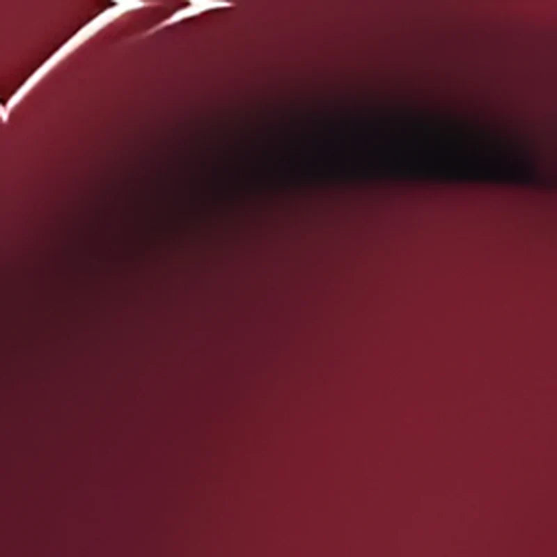 Leanhope Perfect Twin Lip — Dual-Ended Liquid Lipstick with Velvet Matte Color and Glossy Shine